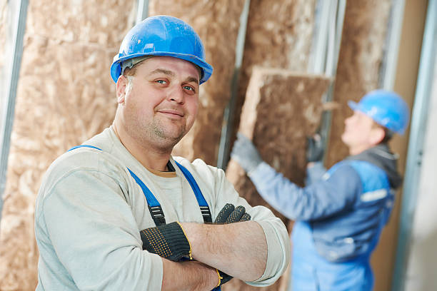 Best Eco-Friendly or Green Insulation Solutions  in Saluda, SC